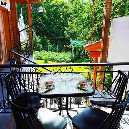 τα πλατάνια Holiday home *