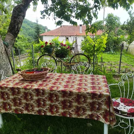 Holiday home τα πλατάνια Ano Kariofiton